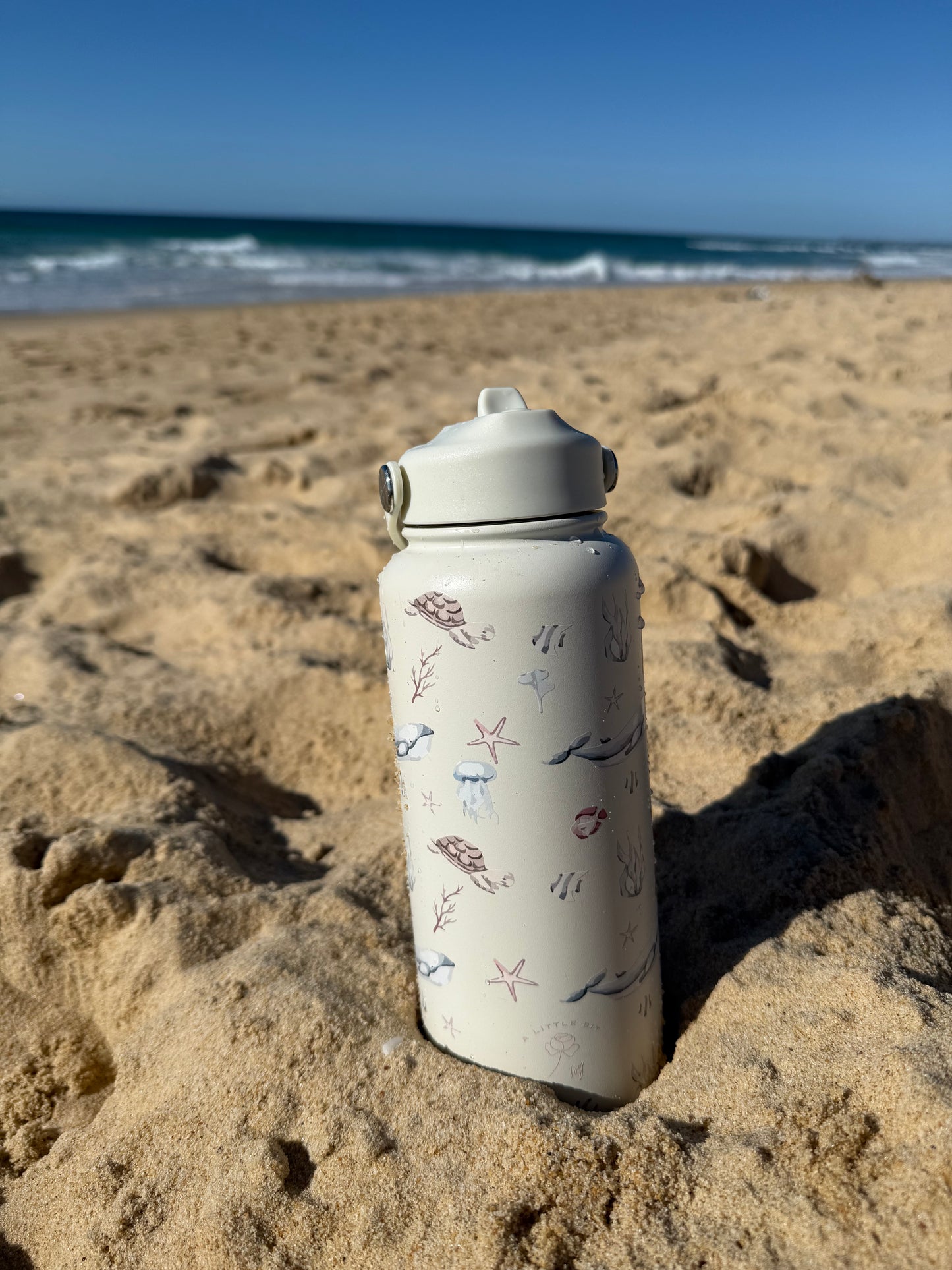 Ocean 32oz Water Bottle