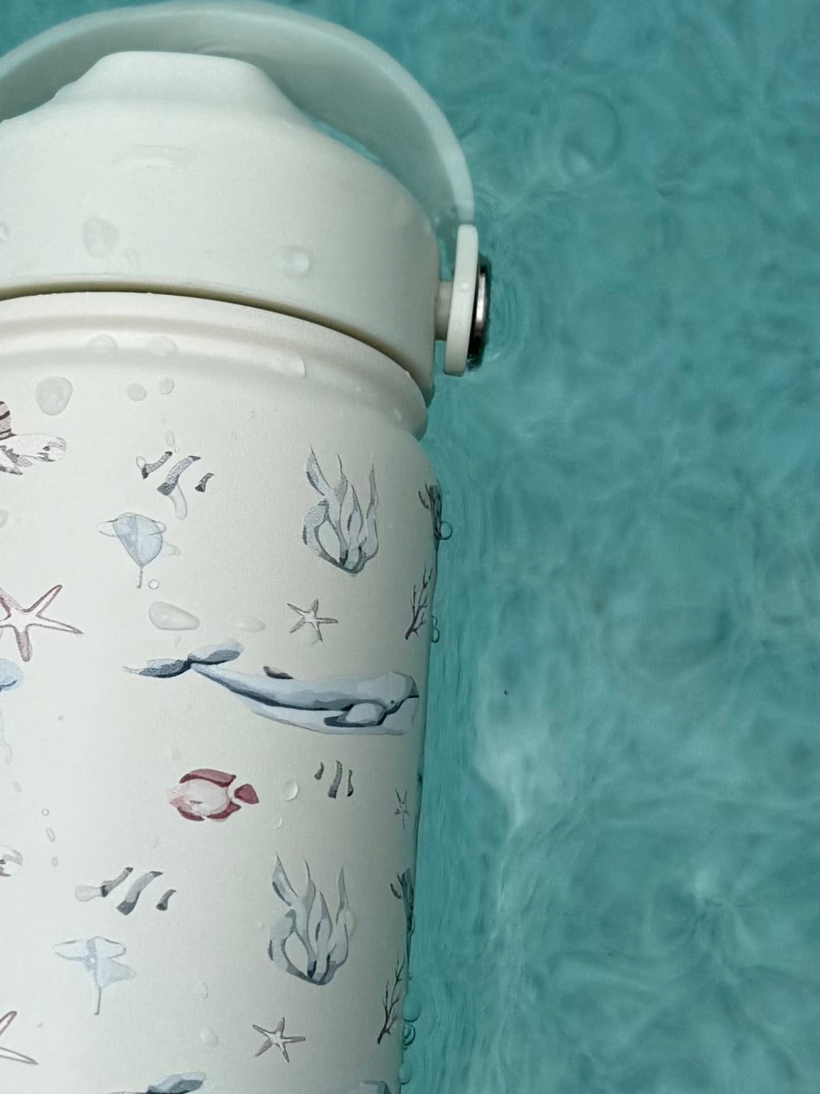 Ocean 12oz Water Bottle