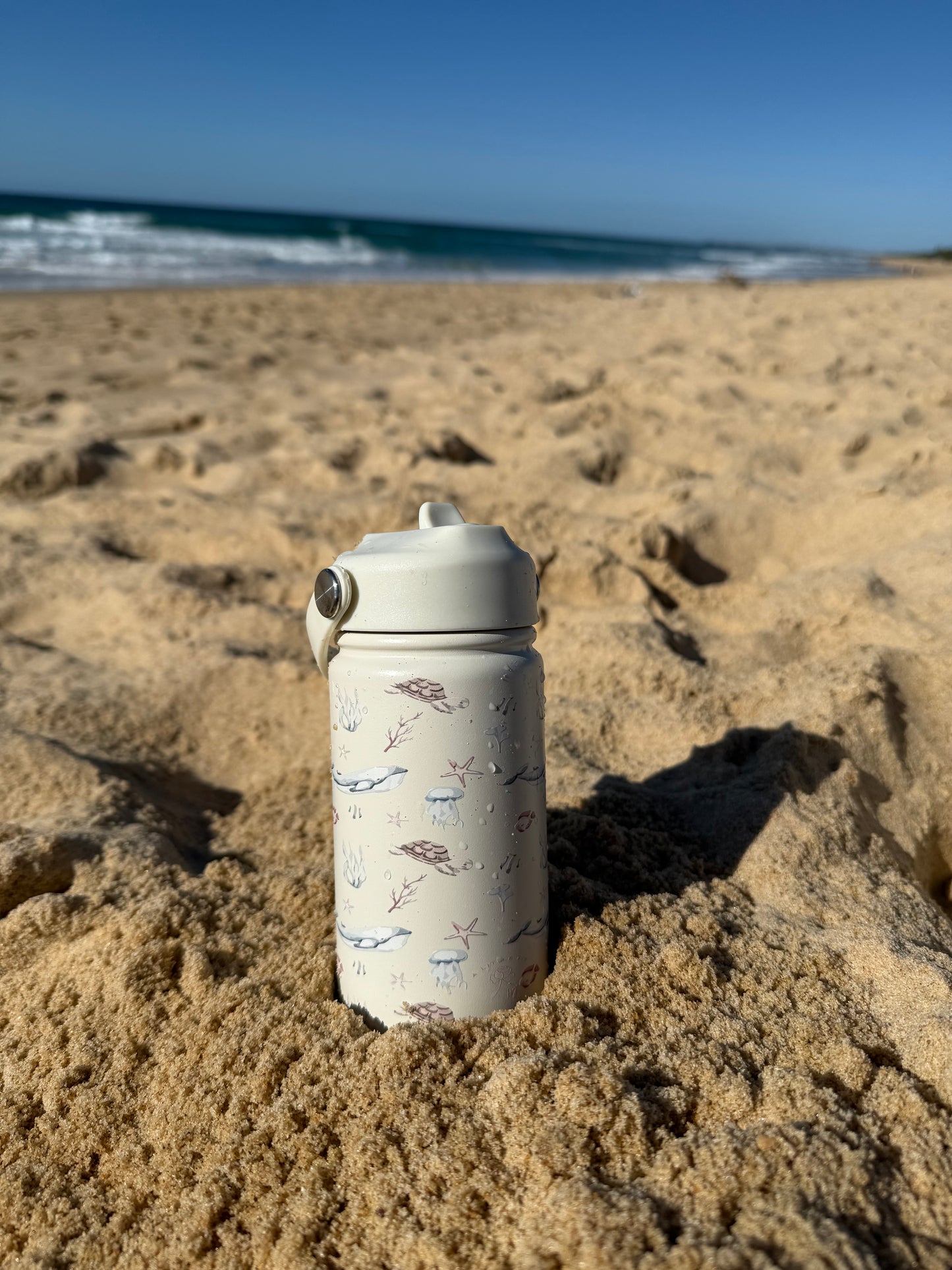 Ocean 12oz Water Bottle